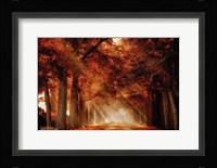 A Seat Not Taken Fine Art Print