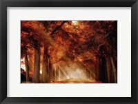 A Seat Not Taken Fine Art Print