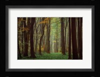 Arriving Nowhere Fine Art Print