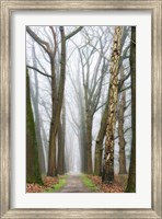 At the End You Will Find a New Beginning Fine Art Print