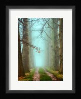 Blue Mist Fine Art Print