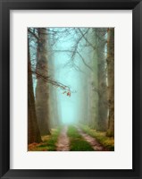 Blue Mist Fine Art Print