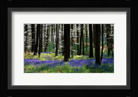 Blue Silver Fine Art Print