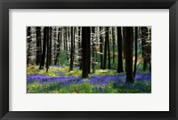 Blue Silver Fine Art Print