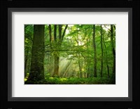 Breathe Fine Art Print