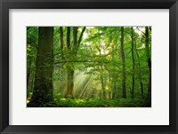 Breathe Fine Art Print