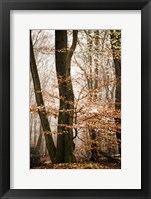 Bronze Tree Fine Art Print