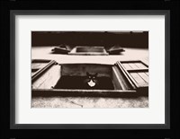 Dali the Cat Fine Art Print