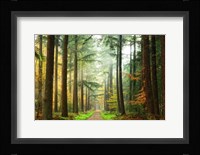 Divide Fine Art Print