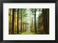 Divide Fine Art Print