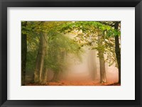 Dreambridge Fine Art Print