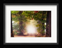 Fall Colors Fine Art Print