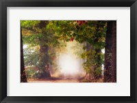 Fall Colors Fine Art Print