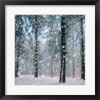 Flakes Fine Art Print