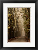 Folia Fine Art Print