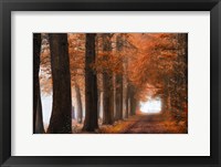 Glorious Season Fine Art Print