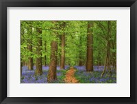 Haller Fine Art Print