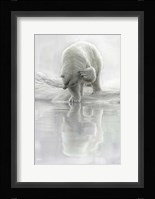 How Do I Look Fine Art Print