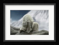 Itching Ear Fine Art Print