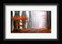 Last Guide before the Mist Fine Art Print