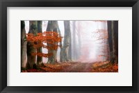 Last Guide before the Mist Fine Art Print