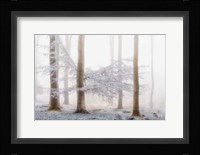 Lishka Fine Art Print