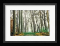 Magic Is Everywhere Fine Art Print