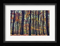 Nature's Palette Fine Art Print