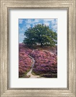 Purple Heath Fine Art Print