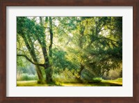 Receiving and Giving Fine Art Print