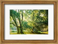Receiving and Giving Fine Art Print