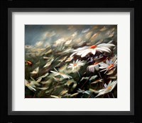 Field of Dreams Fine Art Print