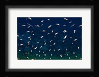 Boat Conference - Amalfi Coast Fine Art Print