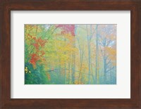 Autumn's Palette Fine Art Print