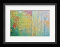 Autumn's Palette Fine Art Print