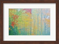 Autumn's Palette Fine Art Print