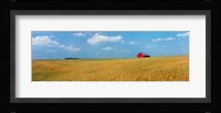 Heartland Fine Art Print