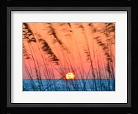 Sun Dance Fine Art Print
