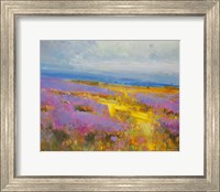 Field of Lavenders 2 Fine Art Print