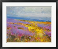 Field of Lavenders 2 Fine Art Print