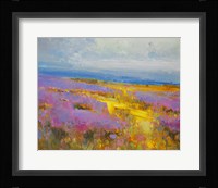 Field of Lavenders 2 Fine Art Print