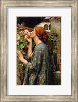 The Soul of the Rose Fine Art Print