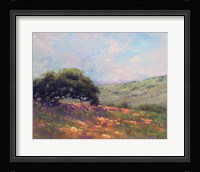Poppy Hill Fine Art Print