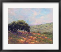 Poppy Hill Fine Art Print