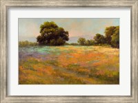 Spring Meadow Fine Art Print