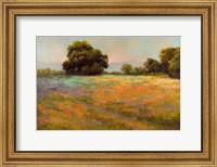 Spring Meadow Fine Art Print