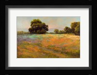 Spring Meadow Fine Art Print