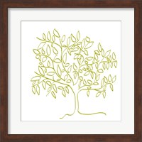 A Citron Tree Fine Art Print