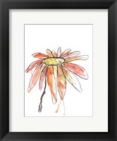 Orange Modern Botanical Fine Art Print