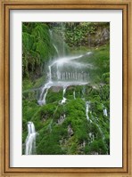 Moss Waterfall Fine Art Print